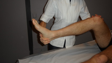 fisioterapia, servizio fisioterapia, fisio